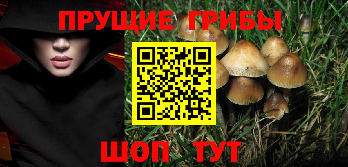 Еманжелинск  Галлюциногенные грибы мицелий  Вход с VPN  Галлюциногенные грибы мицелий 