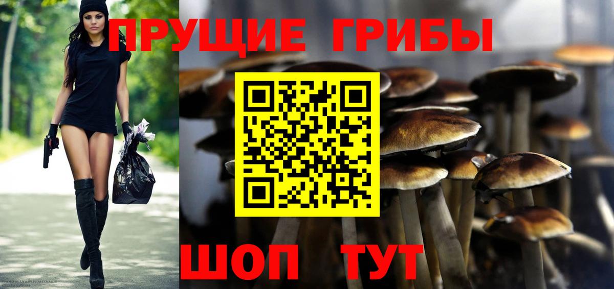 Галлюциногенные грибы GOLDEN TEACHER Еманжелинск